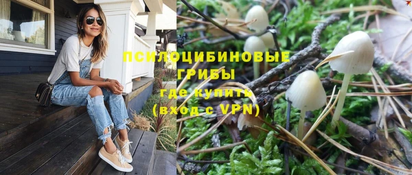 кокс Алзамай