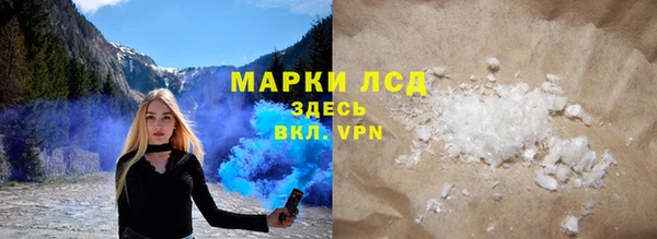 стаф Аркадак