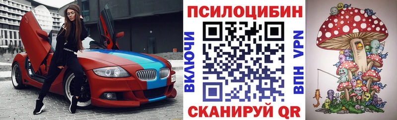 MEGA ONION  Исилькуль  Псилоцибиновые грибы прущие грибы 